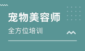 宠物美容师助理：行业内幕与职业前景全解析，你准备好了吗？