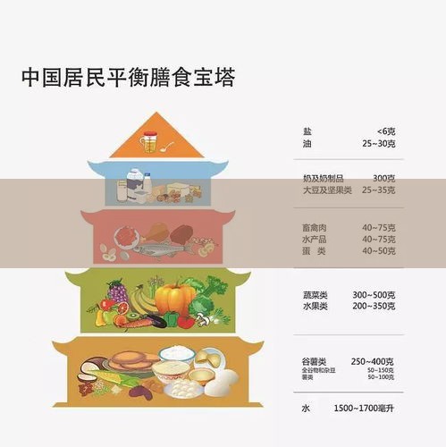 专为儿童青少年定制：营养膳食的终极攻略，家长必读！