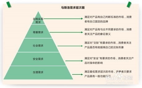 如何洞悉市场需求？揭秘站长高效策略背后的秘密！