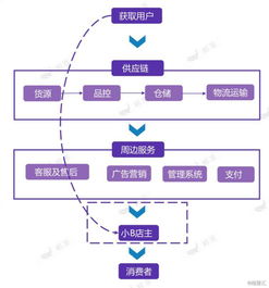 社交电商崛起之谜：二级分销模式如何成为行业领跑者？