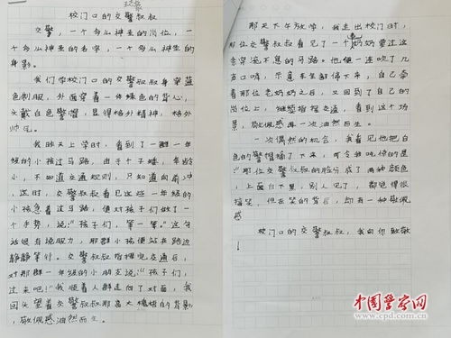 400字作文里的可爱小猫，如何打动评委的心？