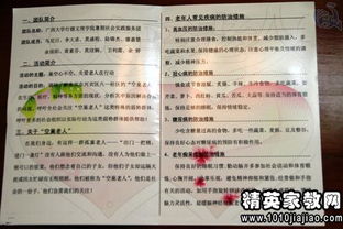 大学生社会实践报告：如何提升职场竞争力？一线经验分享！