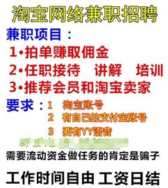 淘宝刷单打字员真实收入对比：网赚真相，谁在说谎？