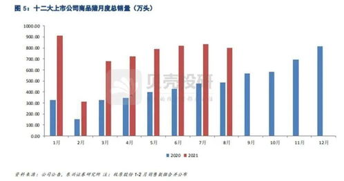 三白一黑＂究竟是什么？价格为何会突然飙升？深入了解市场变化之谜！