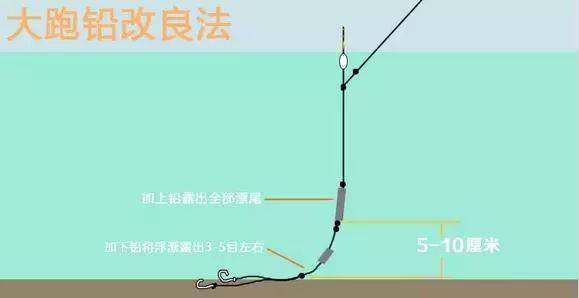 铅头钩锚鱼是否真的效果显著？实用对比分析