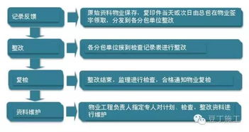 如何制定高效的项目管理计划？掌握工作关键步骤