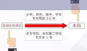 初中学历挑战自学法律：能否一路自学至考取律师证？