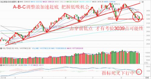 创业板指数缘何遭遇罕见暴跌？市场专家深度解析背后动因