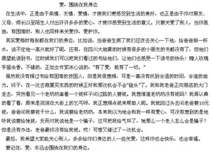 为何那次作文让我追悔莫及？站长亲述写作背后的故事