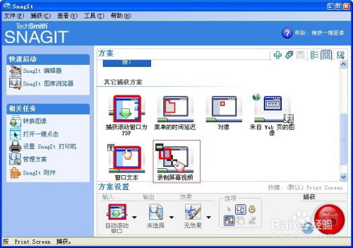 站长精选：哪五款免费论坛源码软件最值得信赖？