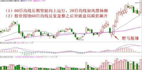 在线学习成趋势，站长教你如何高效掌握学习方法论？