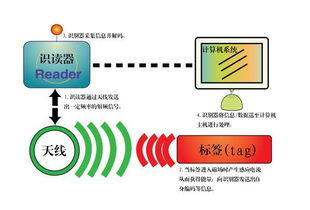 如何科学夜跑，提升效率与安全性？