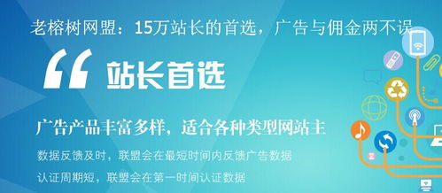 如何通过广告联盟月入过万？站长亲述盈利秘诀！