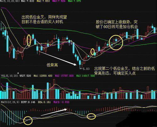 直播收入究竟如何构成？掌握这些途径，直播赚钱你也可以！