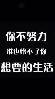 为何他放弃靠拳头吃饭，却选择用才华在学校挣钱？