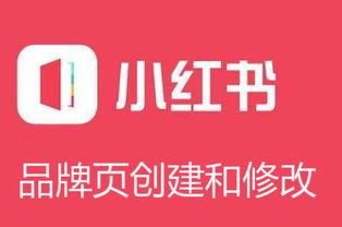 小红书个人开店攻略：需要哪些手续？快速入门必看要点！