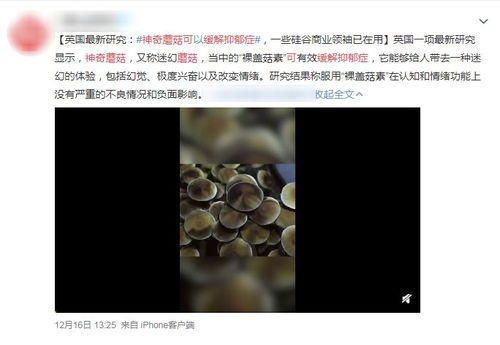 神奇蘑菇真能缓解抑郁症？小心误食毒品陷阱