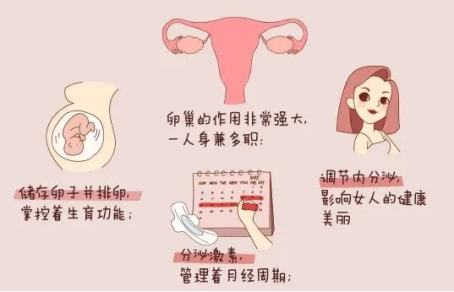 38岁前女性如何警惕卵巢早衰？这些症状你发现了吗？