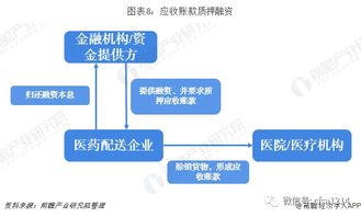 大学生如何用十万元打造热门创业项目？成功案例深度剖析！