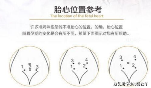 产后多久母乳量会逐渐减少？新妈妈必知的时间线解析