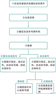 新车上牌选号究竟需要哪些步骤？全面解析上牌选号详细流程