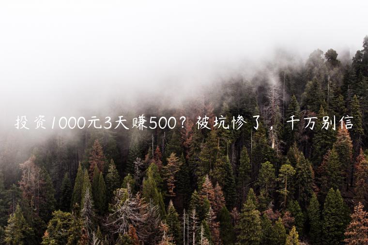 投资1000元3天赚500？被坑惨了，千万别信