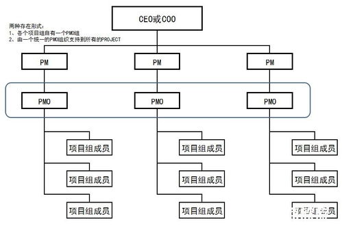 项目管理的主要内容包括哪些方面，涉及哪些阶段和领域？