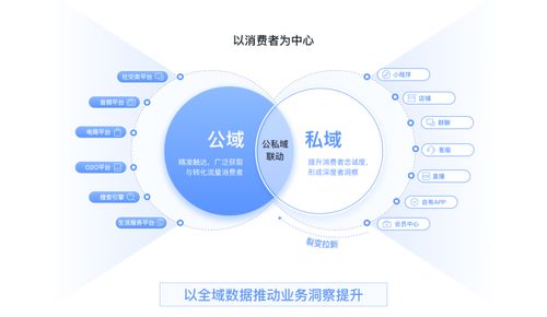 如何高效搭建个人网站？步骤与作用解析