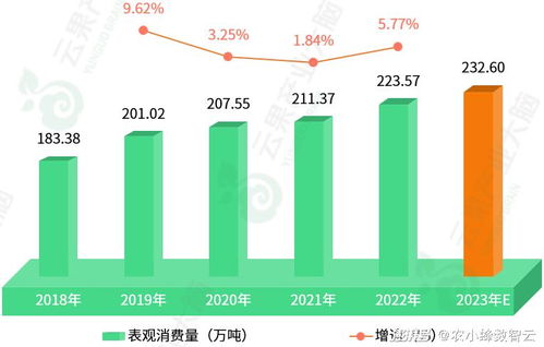 如何撰写2024年短视频行业数据分析报告？详解收入与趋势变化