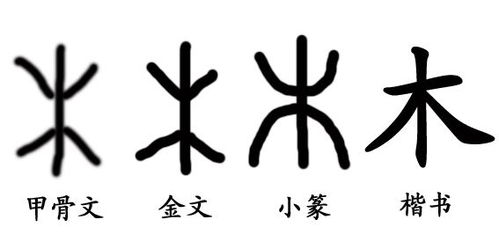 哪些木字旁的字最吉祥？详解木字旁最吉祥的十个汉字寓意