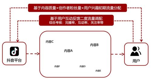 如何计算抖音电商带货成本？加入带货需投资多少钱？