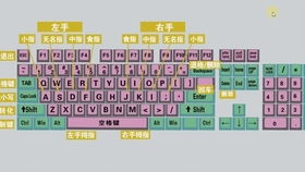 如何快速学会电脑打字？初学者入门打字视频教程全集