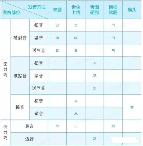 电脑表格入门困惑？新手小白如何从零起步掌握表格制作？