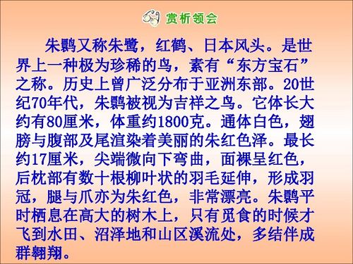 飞出和飞回是反义词吗？飞出的反义词是什么？飞去和回来对立吗？