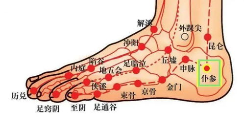 针灸治疗下肢痿痹有哪些方法？这里有秘方和视频吗？