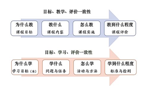 人体体质形成的关键因素有哪些？揭秘决定体质的五大要素