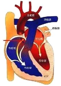 神经紊乱全身游走性疼痛，应挂哪个科治疗？能否治愈？