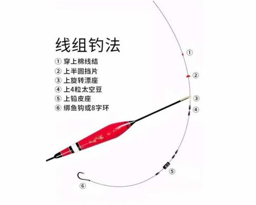 探讨锚鱼技巧原理，真的能提升捕鱼效果吗？有哪些教学视频与动作要领？