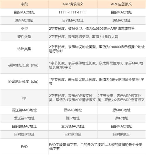 2024最新网络搬砖项目有哪些？详解赚钱流程与推荐大全