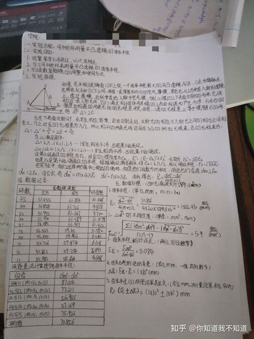 如何撰写一篇800字的测量实训总结报告？