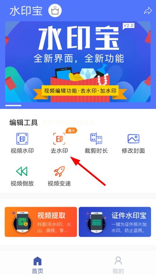 海浪软件具体功能是什么？详解海浪App的用途与下载方法