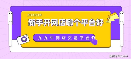 2024年开网店哪个平台最好？网店开店平台排行榜一览