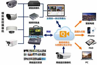 直播时能否使用录播视频？手机直播如何操作？会被罚钱吗？