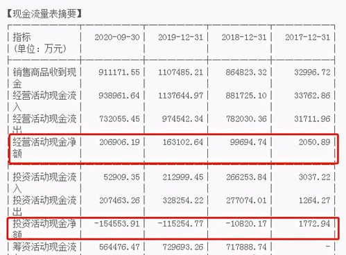 2024年开网络工作室，哪些项目最具盈利潜力？