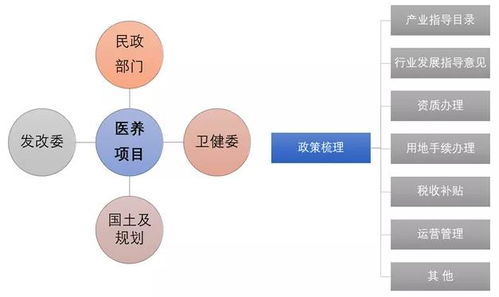 项目可行性分析主要涵盖哪几个方面，具体分析哪些内容？