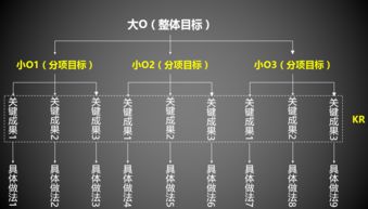 如何成为数字门店项目代理及制定高效运营方案？