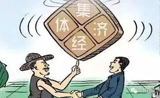 什么是集体经济收入？它包括哪些部分？与集体收入的区别及用途解析