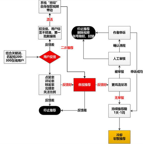 如何理解抖音推荐流量机制？流量算法和推送规则是怎样的？