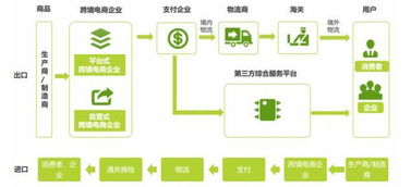 如何进行跨境电商海关备案？新公司备案流程及申报界面详解