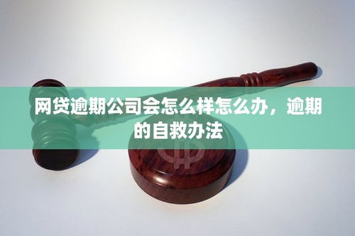 网贷逾期怎么办？如何自救与补救？